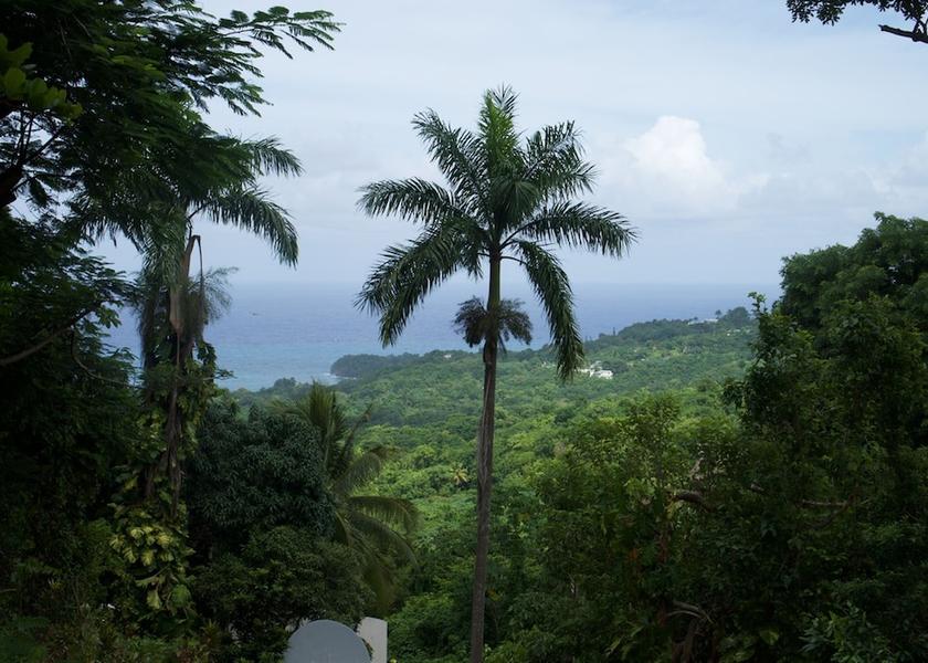  Port Antonio View from Property