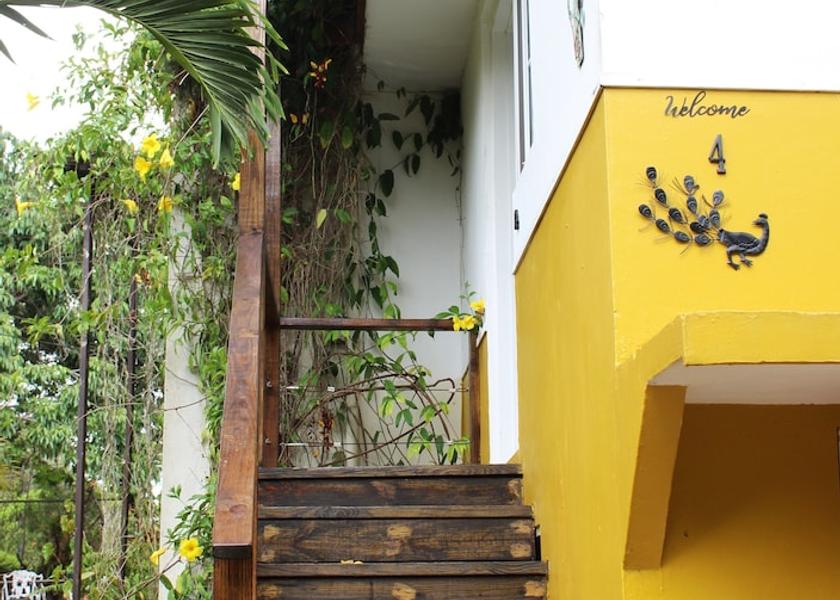 Manchester Mandeville Room