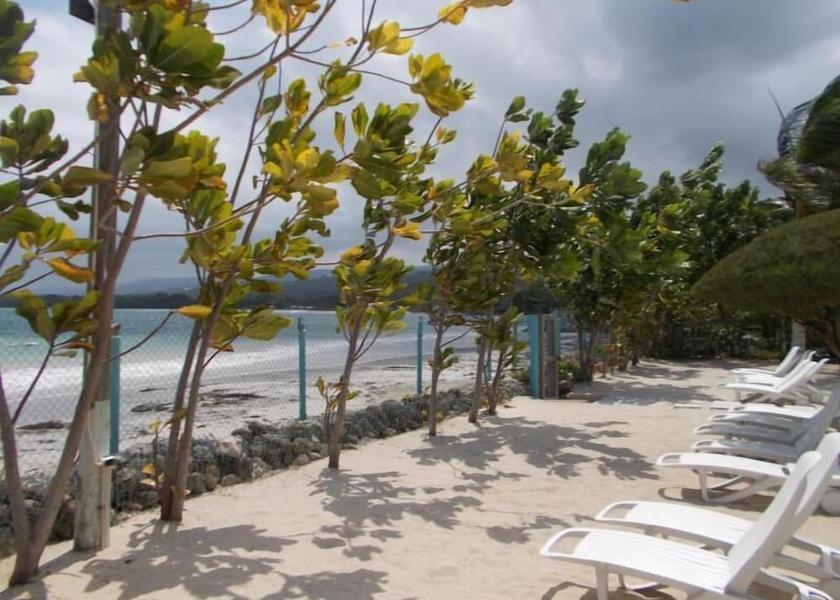 Saint Ann St. Ann's Bay Beach