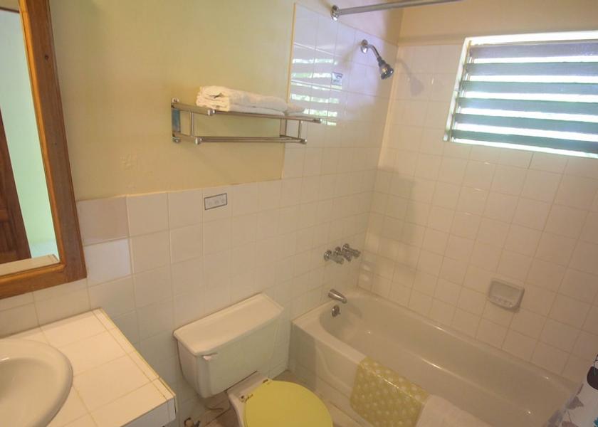 Westmoreland Negril Bathroom