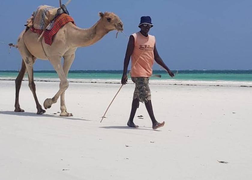 Kwale County Diani Beach Beach