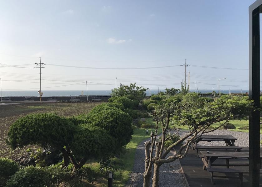 Jeju Jeju City View from room
