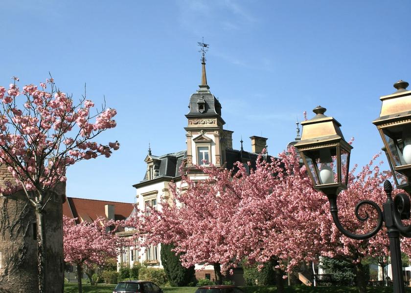 Grand Est Ostwald Property Grounds