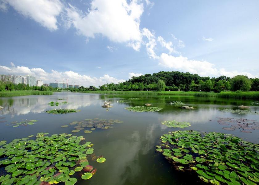 Gyeonggi Gimpo Point of interest