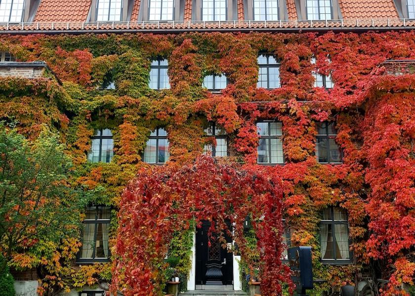  Oslo Facade