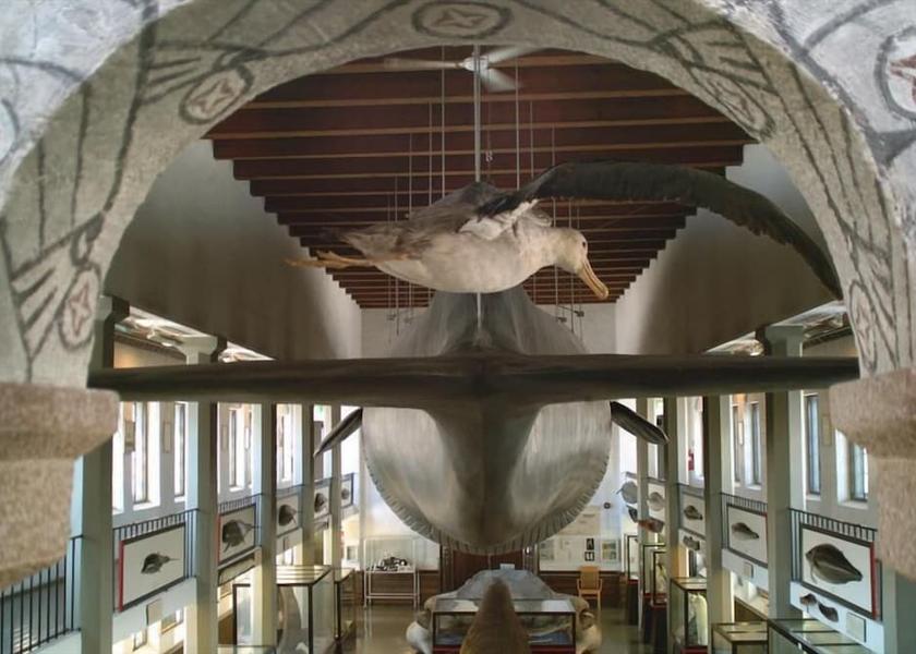 Vestfold Sandefjord Point of interest