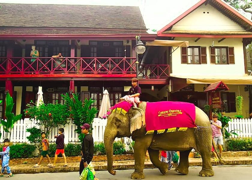 Luang Prabang Province Luang Prabang Exterior