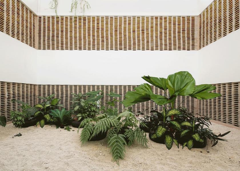 Veracruz Orizaba Garden