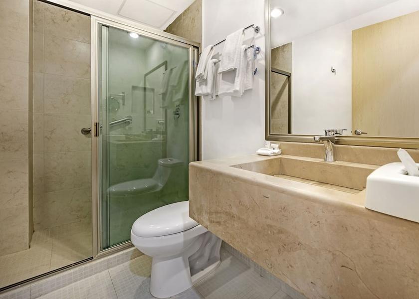 Chiapas Tuxtla Gutierrez Bathroom