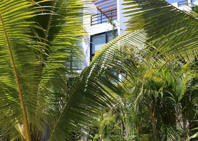 Quintana Roo Akumal Hallway
