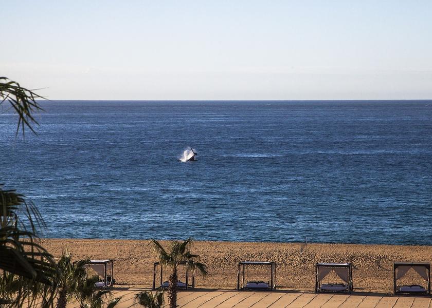Baja California Sur Cabo San Lucas Beach