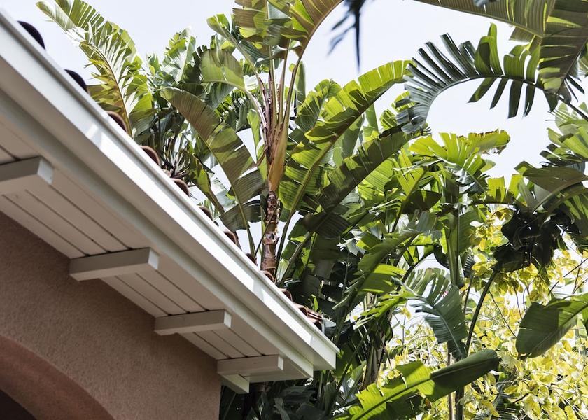 California Beverly Hills Exterior Detail