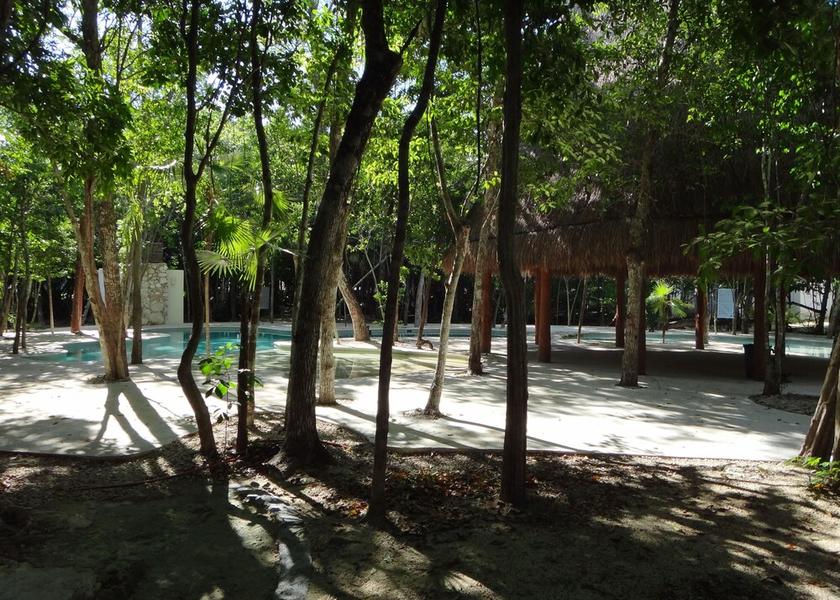 Quintana Roo Puerto Morelos Property Grounds