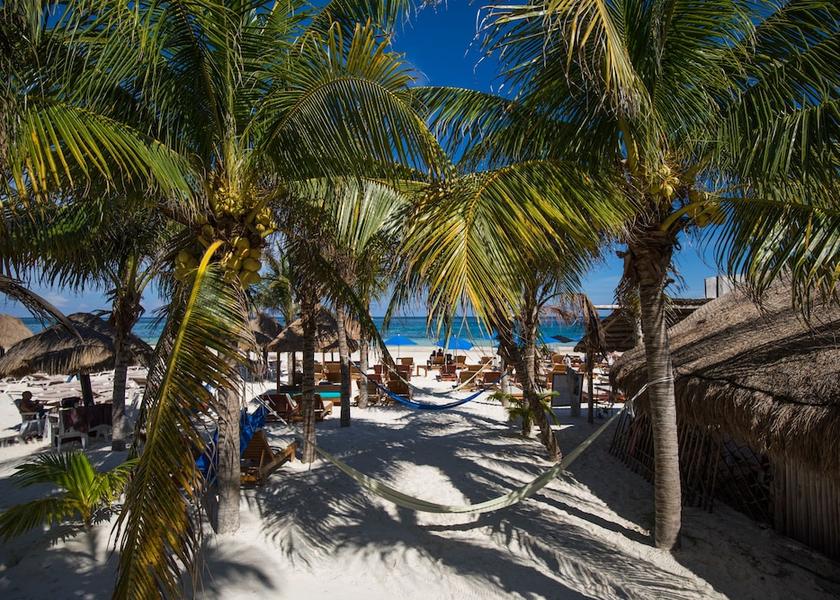 Quintana Roo Puerto Morelos Exterior Detail
