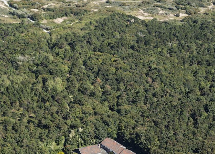 South Holland Noordwijk Property Grounds