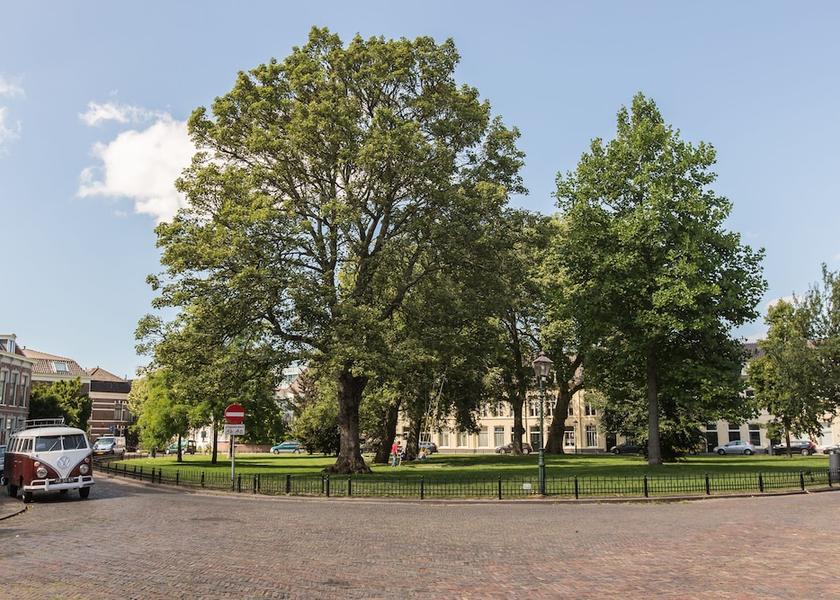 North Holland Haarlem View from Property