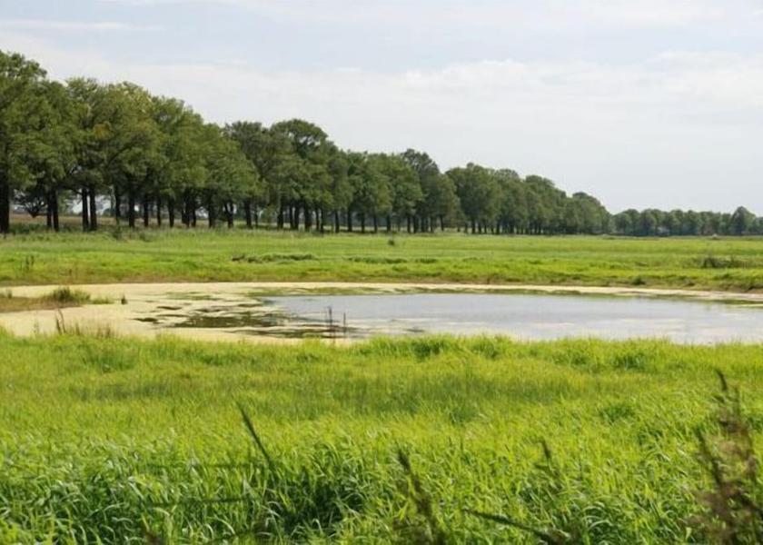North Brabant Reusel Lake