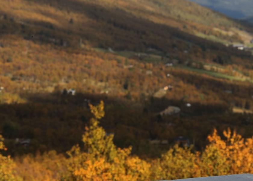 Buskerud (county) Hol View from Property