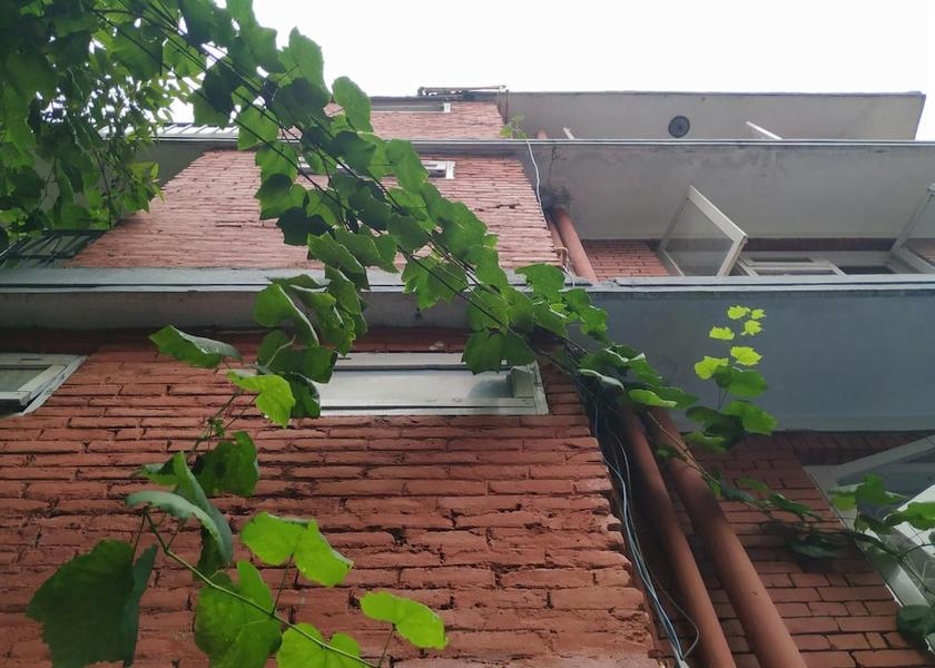 Bagmati Kathmandu Property grounds