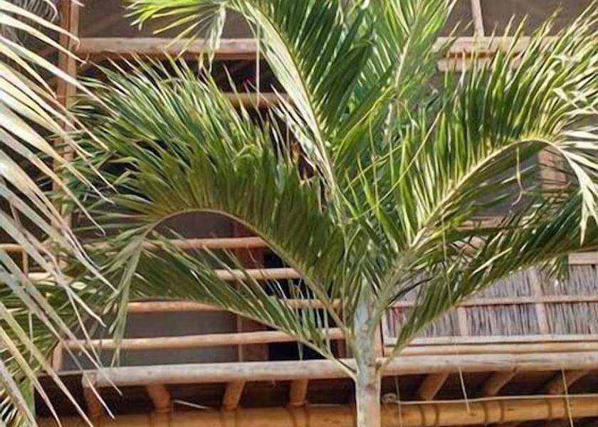 Piura Region Máncora Exterior Detail
