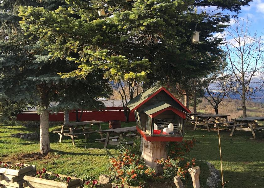 Bolu Province Bolu Garden
