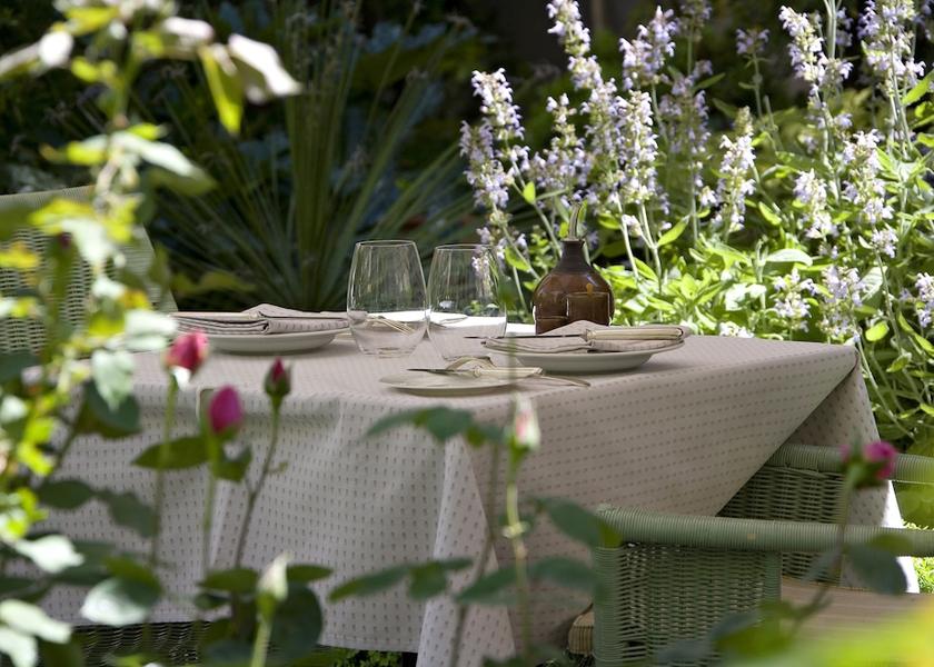 Provence - Alpes - Cote d'Azur Avignon Garden