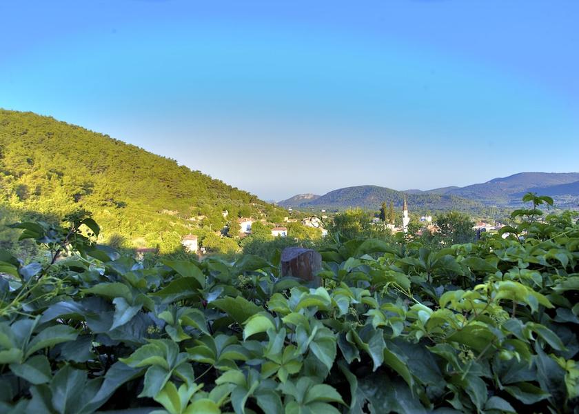 Aydin Kuşadası View from Property