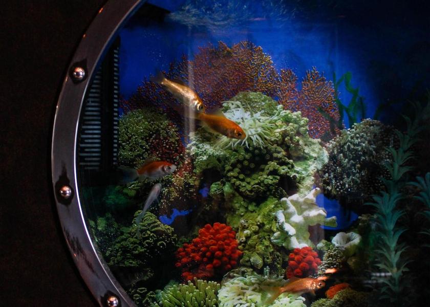 Manitoba Winnipeg Amenity