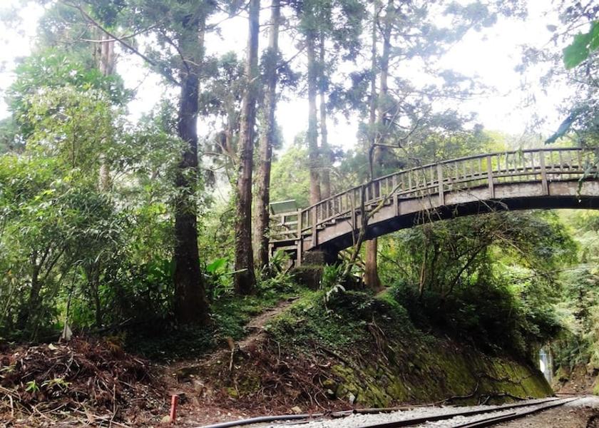 Chiayi County Zhuqi Property grounds