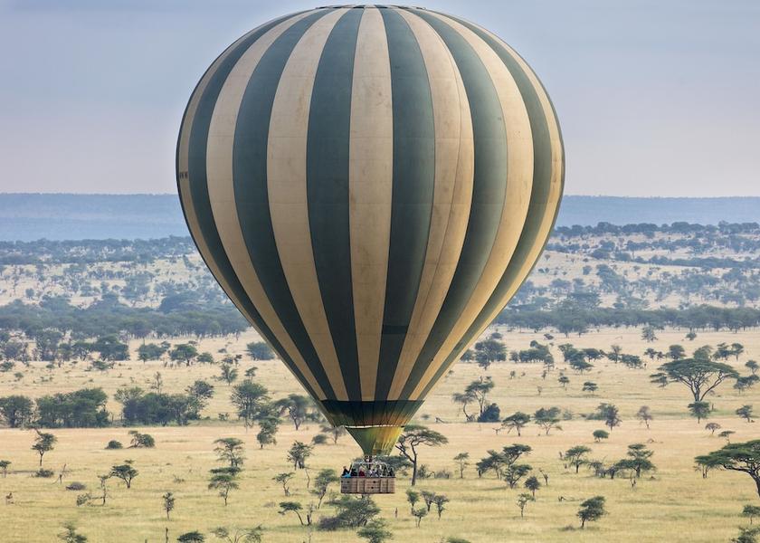  Bariadi Safari and game