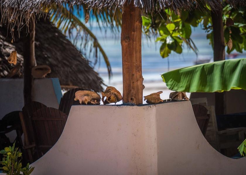 Unguja Kusini Region Kizimkazi Restaurant