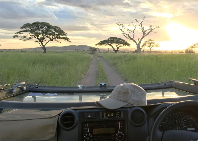  Serengeti National Park Property Grounds