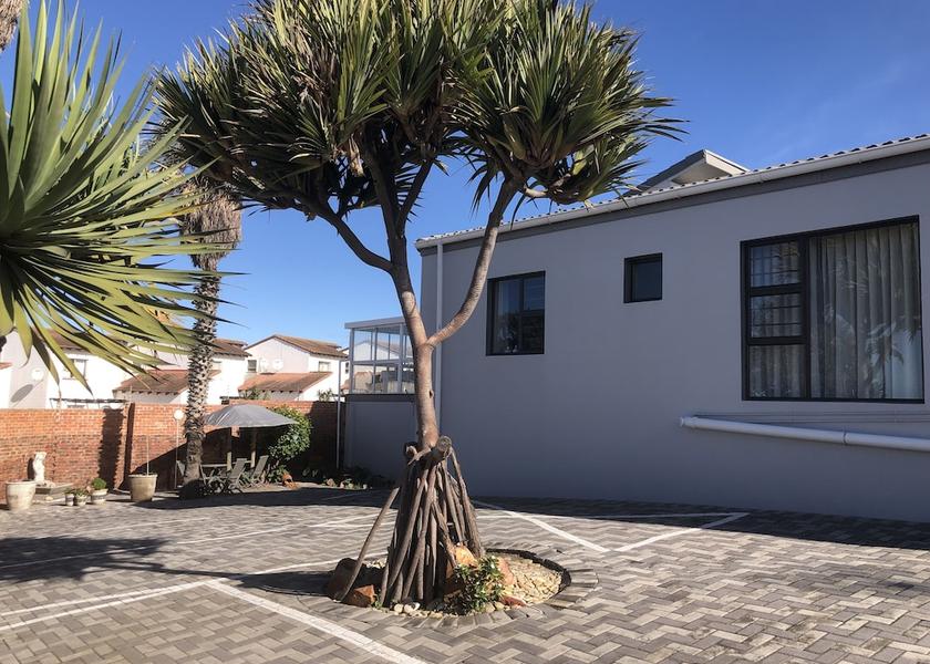 Eastern Cape Gqeberha Garden