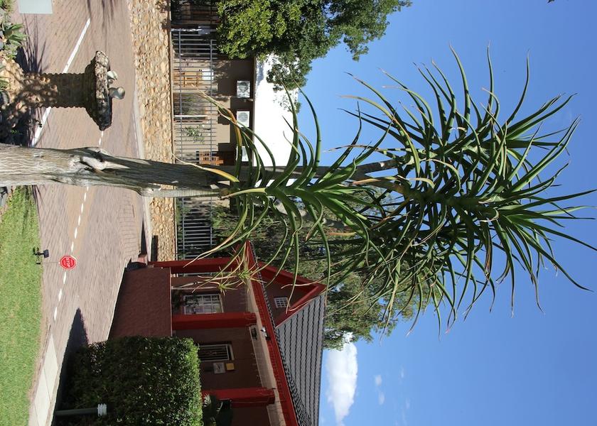 Western Cape Oudtshoorn Front of property