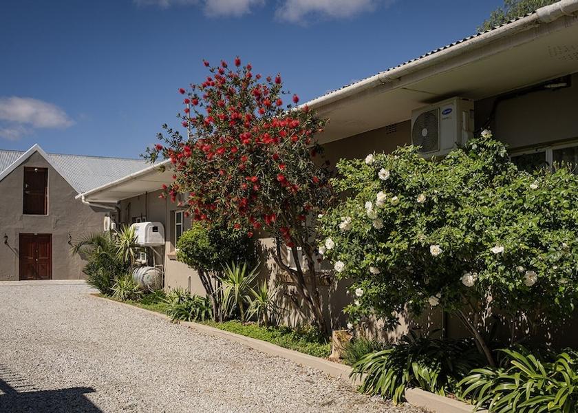 Northern Cape Hantam Garden