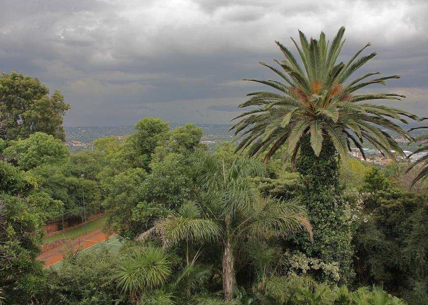 Gauteng Johannesburg View from Property