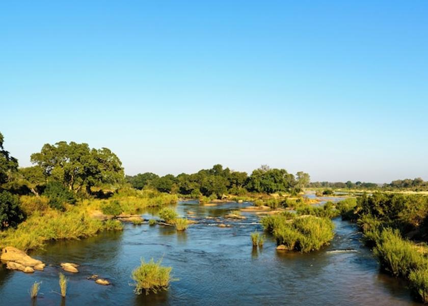 Mpumalanga Skukuza Safari and game