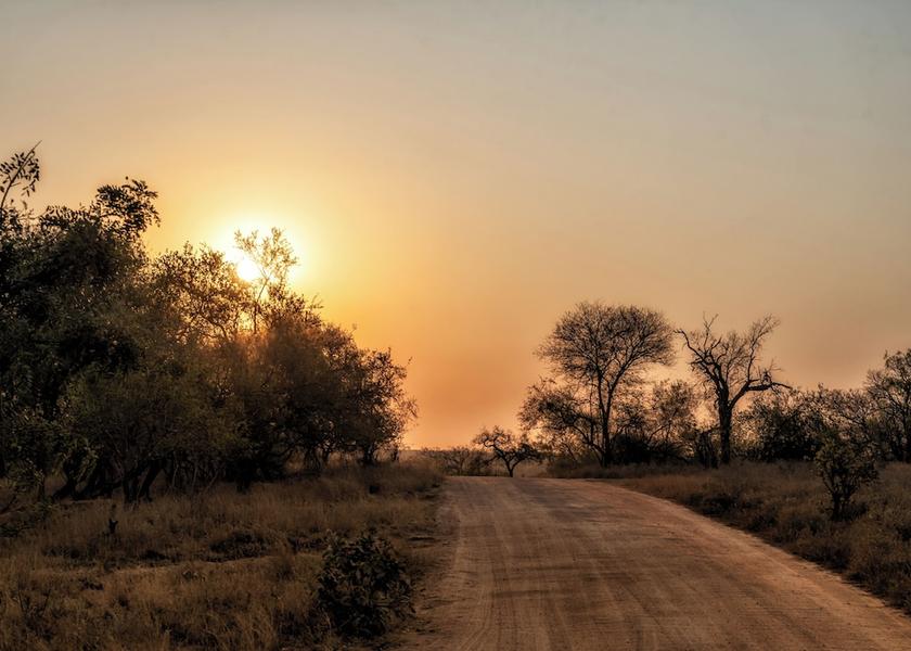 Mpumalanga Skukuza Safari and game