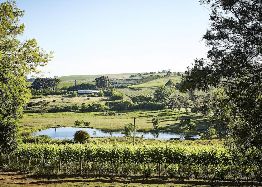 Western Cape Stellenbosch Hiking