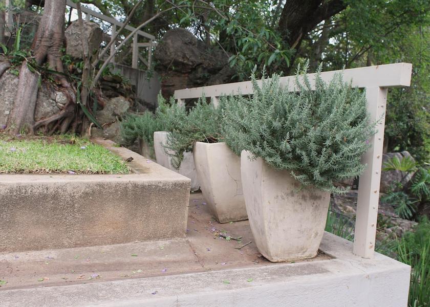 Mpumalanga Mbombela Garden