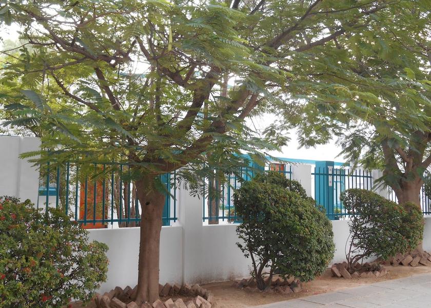 Eastern Cape Graaff-Reinet Front of property
