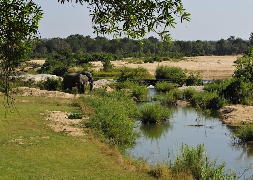 Mpumalanga Sabi Sands Game Reserve Safari and game