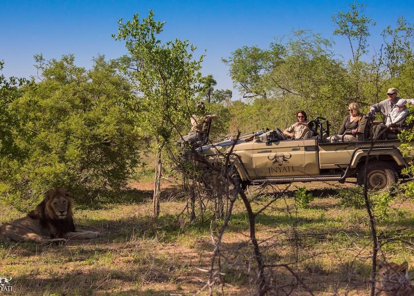 Mpumalanga Sabi Sands Game Reserve Safari and game