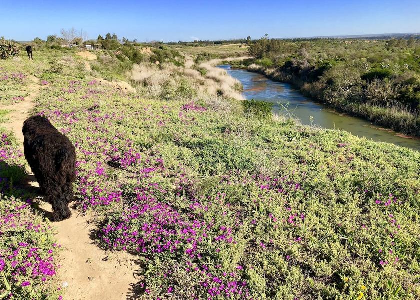 Eastern Cape Addo Exterior Detail
