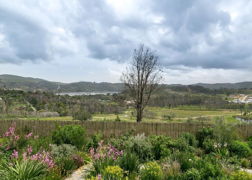 Western Cape Knysna Property Grounds