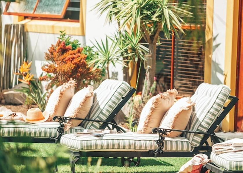Western Cape Kleinmond Garden