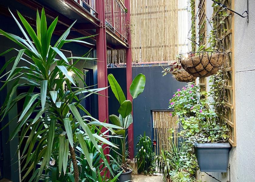 Gauteng Johannesburg Courtyard