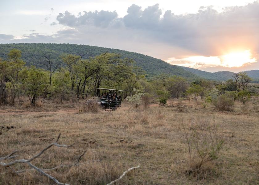 Limpopo Vaalwater Game drive