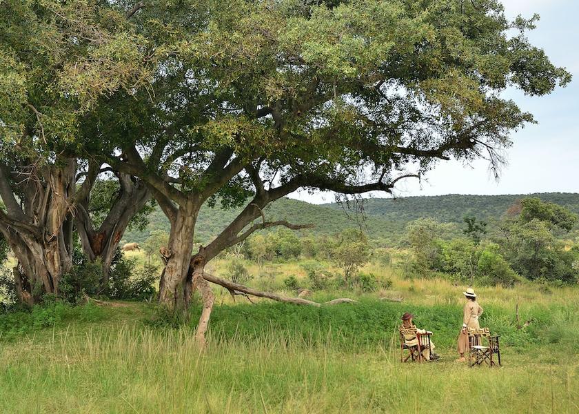Limpopo Vaalwater Safari