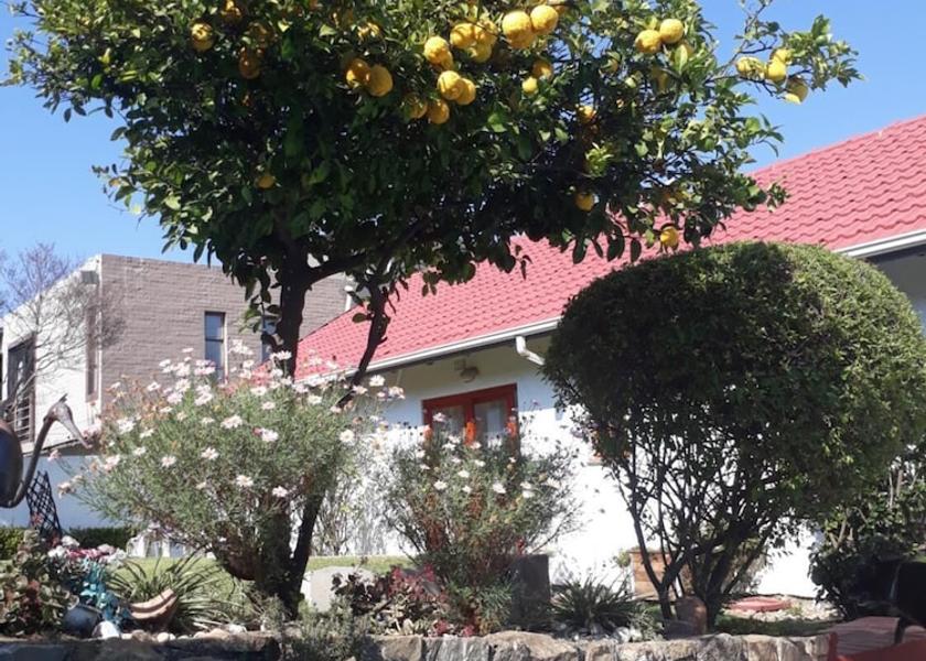 Gauteng Johannesburg Property Grounds